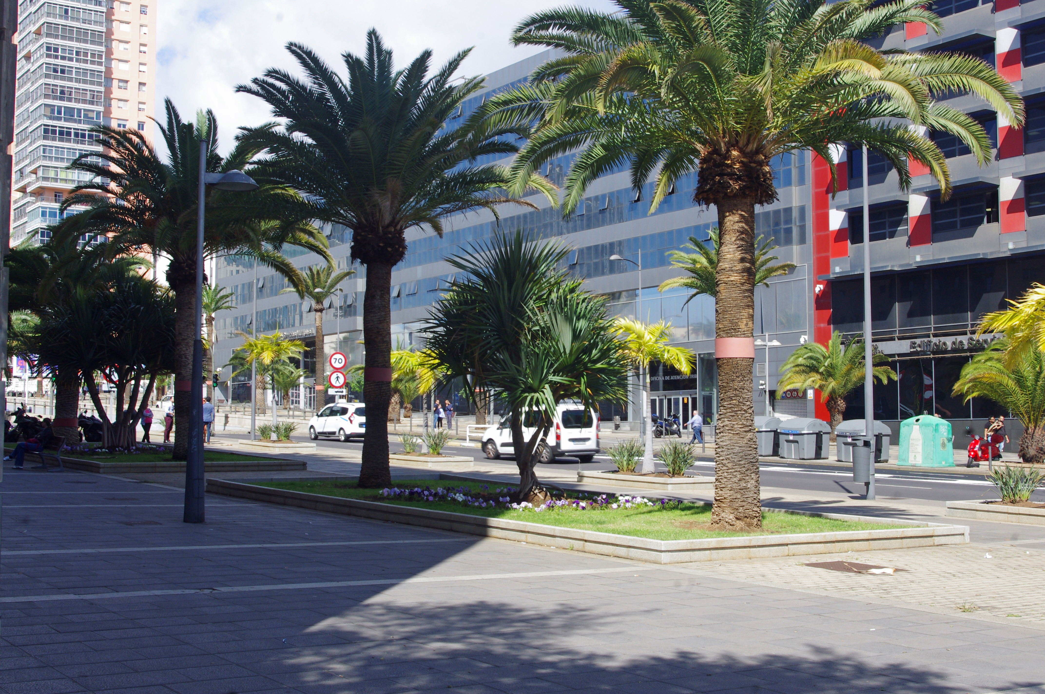 Santa Cruz de Tenerife